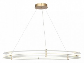 Подвесной светильник ST-Luce FAGY SL6245.213.01 в Кургане - kurgan.mebel24.online | фото 2
