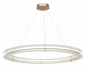 Подвесной светильник ST-Luce FAGY SL6245.213.01 в Кургане - kurgan.mebel24.online | фото 4