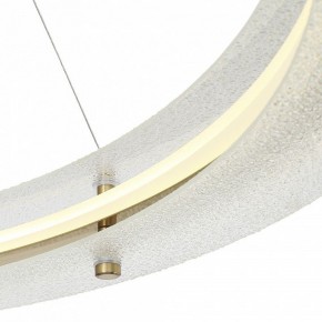 Подвесной светильник ST-Luce FAGY SL6245.213.01 в Кургане - kurgan.mebel24.online | фото 6