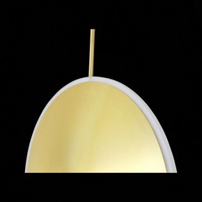 Подвесной светильник ST-Luce Imente SL1221.213.01 в Кургане - kurgan.mebel24.online | фото 9