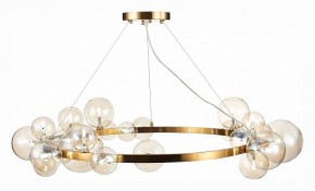 Подвесной светильник ST-Luce Nection SL1165.303.24 в Кургане - kurgan.mebel24.online | фото 4