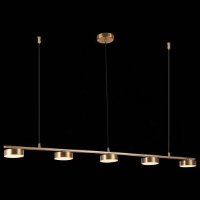 Подвесной светильник ST-Luce Pances SL6000.303.05 в Кургане - kurgan.mebel24.online | фото 5