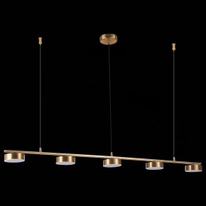 Подвесной светильник ST-Luce Pances SL6000.303.05 в Кургане - kurgan.mebel24.online | фото 6