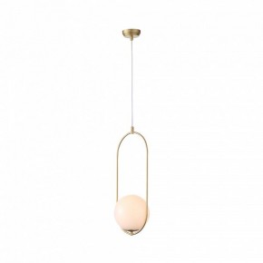 Подвесной светильник ST-Luce Penolo SL1118.203.01 в Кургане - kurgan.mebel24.online | фото 3