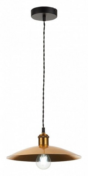 Подвесной светильник ST-Luce Romo SL1017.203.01 в Кургане - kurgan.mebel24.online | фото 4