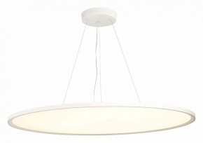 Подвесной светильник ST-Luce ST602 ST602.543.120 в Кургане - kurgan.mebel24.online | фото 3