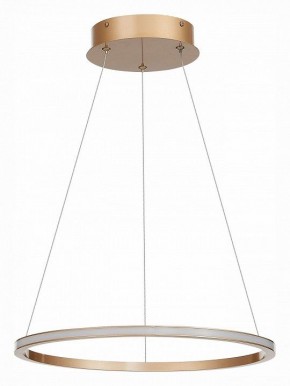 Подвесной светильник ST-Luce ST604 OUT ST604.243.22 в Кургане - kurgan.mebel24.online | фото 2
