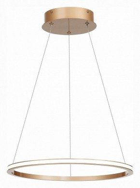 Подвесной светильник ST-Luce ST604 OUT ST604.243.22 в Кургане - kurgan.mebel24.online | фото 3