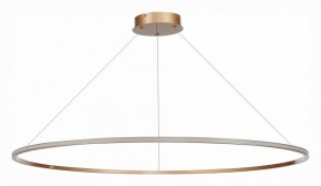 Подвесной светильник ST-Luce ST604 OUT ST604.243.57 в Кургане - kurgan.mebel24.online | фото 2