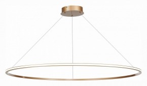 Подвесной светильник ST-Luce ST604 OUT ST604.243.57 в Кургане - kurgan.mebel24.online | фото 3