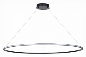 Подвесной светильник ST-Luce ST604 OUT ST604.443.46 в Кургане - kurgan.mebel24.online | фото 2