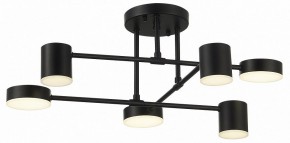Потолочная люстра EVOLUCE Nobel SLE201042-06 в Кургане - kurgan.mebel24.online | фото 10
