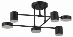 Потолочная люстра EVOLUCE Nobel SLE201042-06 в Кургане - kurgan.mebel24.online | фото 11