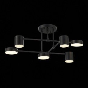 Потолочная люстра EVOLUCE Nobel SLE201042-06 в Кургане - kurgan.mebel24.online | фото 13