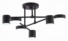 Потолочная люстра EVOLUCE Nobel SLE201042-06 в Кургане - kurgan.mebel24.online | фото 5