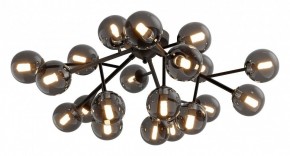 Потолочная люстра Maytoni Dallas MOD545CL-20B в Кургане - kurgan.mebel24.online | фото 2