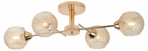 Потолочная люстра Rivoli Amalia Б0050815 в Кургане - kurgan.mebel24.online | фото 2