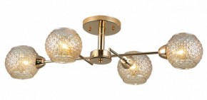 Потолочная люстра Rivoli Amalia Б0050815 в Кургане - kurgan.mebel24.online | фото 3