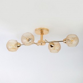 Потолочная люстра Rivoli Amalia Б0050815 в Кургане - kurgan.mebel24.online | фото 5
