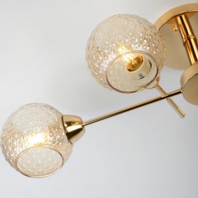 Потолочная люстра Rivoli Amalia Б0050815 в Кургане - kurgan.mebel24.online | фото 8