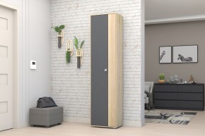 Прихожая Монако-2 (Дуб Сонома/Графит) в Кургане - kurgan.mebel24.online | фото 11