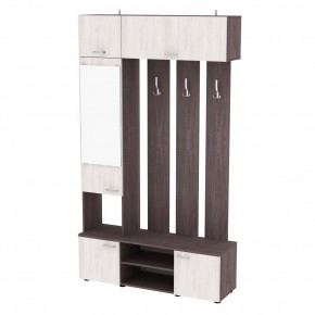 Прихожая с зеркалом V23_M (ЯАТ-ЯАС) в Кургане - kurgan.mebel24.online | фото