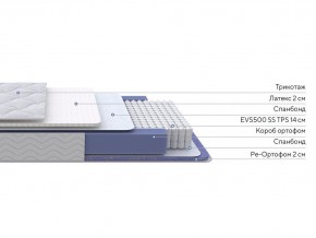 PROxSON Матрас Active Duo S/F (Ткань Трикотаж Эко) 160x195 в Кургане - kurgan.mebel24.online | фото 1