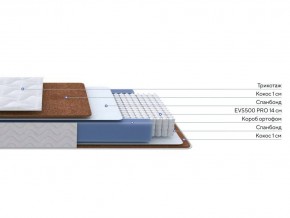 PROxSON Матрас Active F Roll (Ткань Трикотаж Эко) 160x200 в Кургане - kurgan.mebel24.online | фото 3