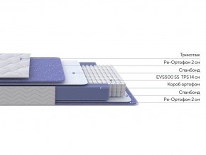 PROxSON Матрас Active F (Ткань Трикотаж Эко) 120x200 в Кургане - kurgan.mebel24.online | фото 2