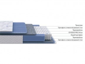 PROxSON Матрас Active M Roll (Ткань Трикотаж Эко) 160x190 в Кургане - kurgan.mebel24.online | фото 2