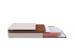 PROxSON Матрас Base M Roll (Ткань Синтетический жаккард) 160x200 в Кургане - kurgan.mebel24.online | фото 1