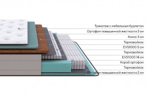 PROxSON Матрас Elysium Firm (Трикотаж Spiral-RT) 80x200 в Кургане - kurgan.mebel24.online | фото 2