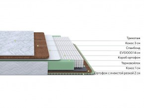 PROxSON Матрас Green Duo M/F (Tricotage Dream) 80x200 в Кургане - kurgan.mebel24.online | фото 1