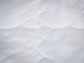 PROxSON Одеяло лёгкое PROSON (Стеганное полотно) 172x200 в Кургане - kurgan.mebel24.online | фото 4