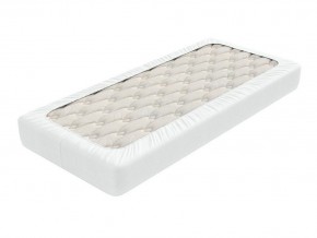 PROxSON Защитный чехол Aqua Save Light S (Ткань влагостойкая Tencel Jersey) 120x190 в Кургане - kurgan.mebel24.online | фото 1