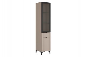 РИЧ Шкаф однодверный со стеклом в Кургане - kurgan.mebel24.online | фото