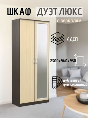 Шкаф 2-х створчатый Дуэт Люкс с зеркалом в Кургане - kurgan.mebel24.online | фото
