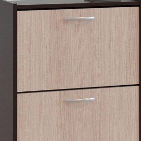 Шкаф для обуви ТО-24 в Кургане - kurgan.mebel24.online | фото 4