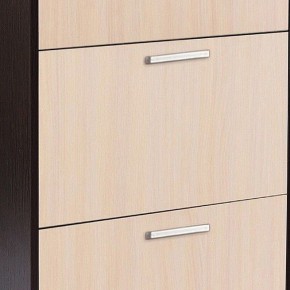 Шкаф для обуви УК-4 в Кургане - kurgan.mebel24.online | фото 2