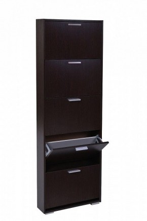 Шкаф для обуви УК-5 10000130 в Кургане - kurgan.mebel24.online | фото