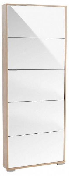 Шкаф для обуви Viva-5LW в Кургане - kurgan.mebel24.online | фото