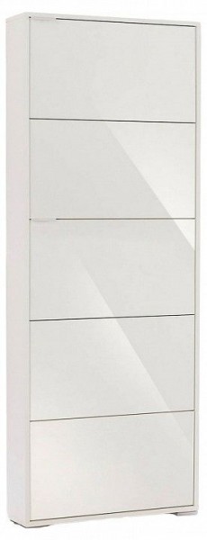 Шкаф для обуви Viva-5S в Кургане - kurgan.mebel24.online | фото