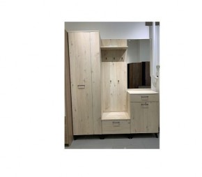 Шкаф для одежды 2-х дверный София 1 в Кургане - kurgan.mebel24.online | фото 6