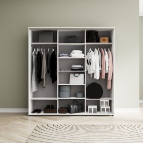 Шкаф-купе Акцент-Сим ДЗ 1500-600 в Кургане - kurgan.mebel24.online | фото 2