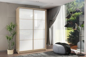 Шкаф-купе Байкал-2 СТЛ.268.11 в Кургане - kurgan.mebel24.online | фото