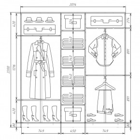 Шкаф-купе ХИТ 22-4-20-151 (420) в Кургане - kurgan.mebel24.online | фото 2