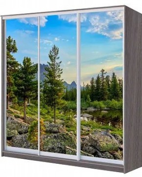 Шкаф-купе ХИТ 22-4-20/2-777 ПРИРОДА в Кургане - kurgan.mebel24.online | фото