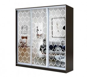 Шкаф-купе ХИТ 22-4-20-666 СЕТКА в Кургане - kurgan.mebel24.online | фото
