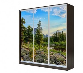 Шкаф-купе ХИТ 22-4-20-777 (420) в Кургане - kurgan.mebel24.online | фото