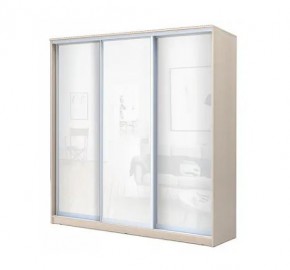 Шкаф-купе ХИТ 22-4-20-888 (420) в Кургане - kurgan.mebel24.online | фото 4